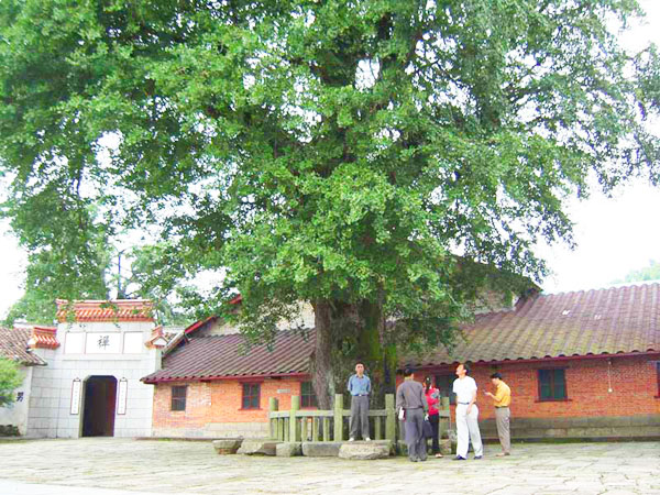 云居山风景区(真如禅寺